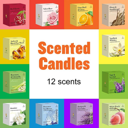 12-Pack Scented Soy Votive Candles – 12 Fragrances in Colorful Glass Jars, Gift Set for Home & Special Occasions